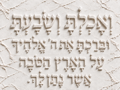 ואכלת ושבעת גבס